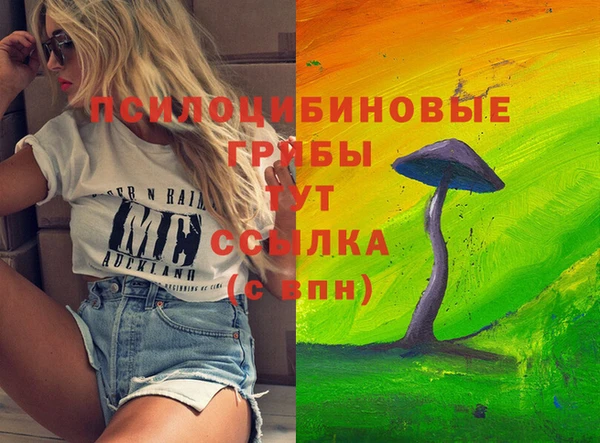 мескалин Арсеньев