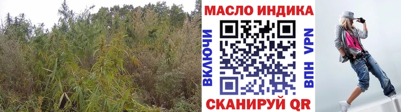 где найти Мытищи Дистиллят ТГК вейп с тгк
