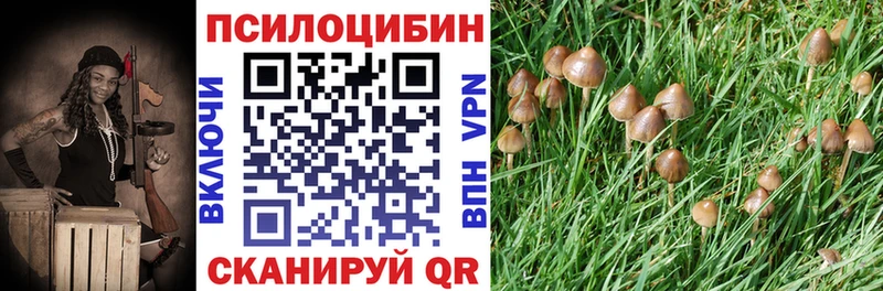 продажа наркотиков Мытищи mega ТОР Галлюциногенные грибы мицелий