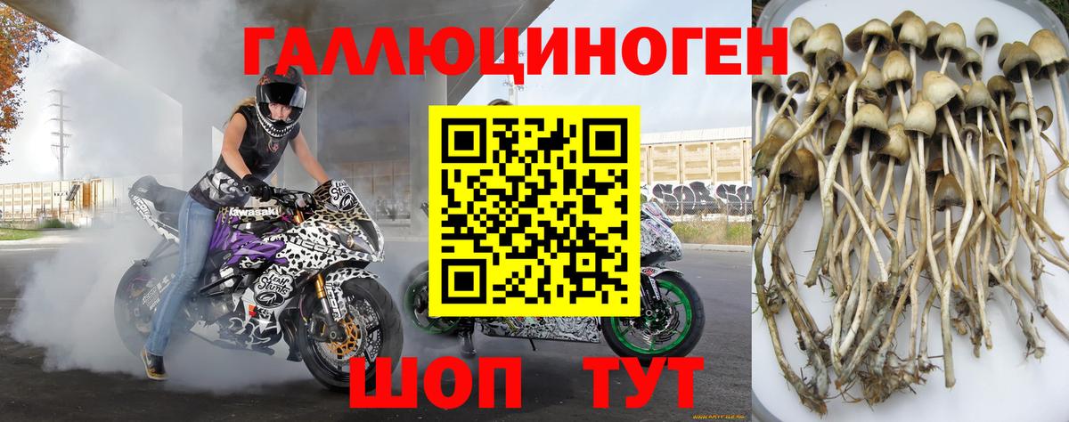 Мытищи  Псилоцибиновые грибы прущие грибы  Вход с VPN  Галлюциногенные грибы Magic Shrooms 