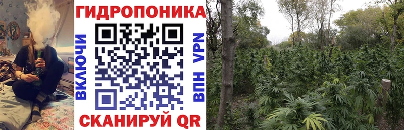 где купить наркоту  Мытищи  Канабис VHQ 